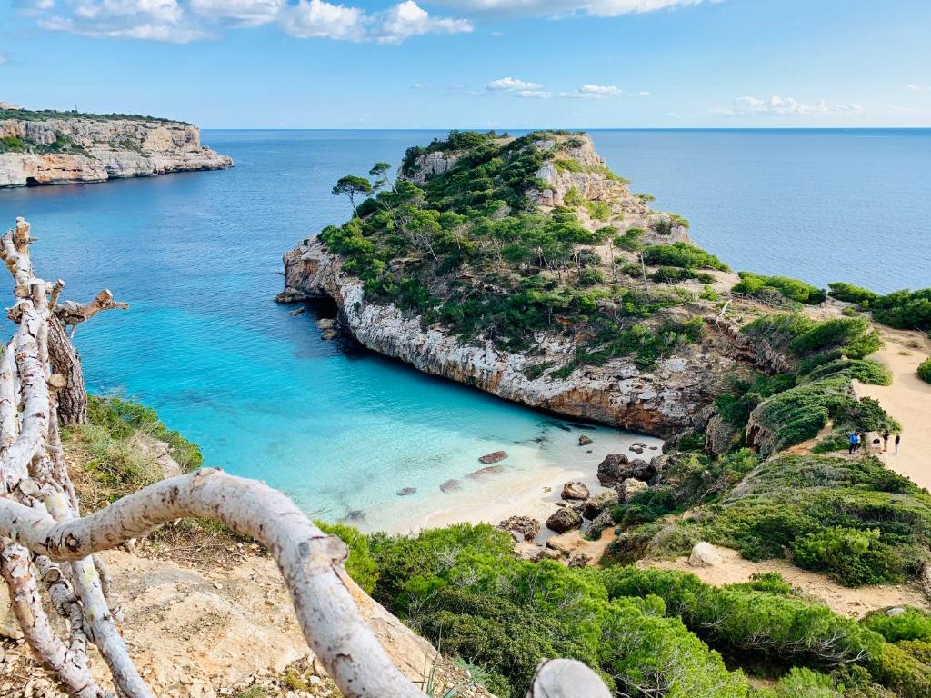 a view of a beach next to the ocean at Apartaments Marina Sol i Pins in Cala Figuera