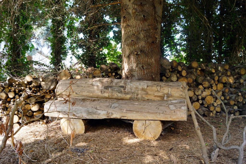 Hotel Villa Wittstock - 12