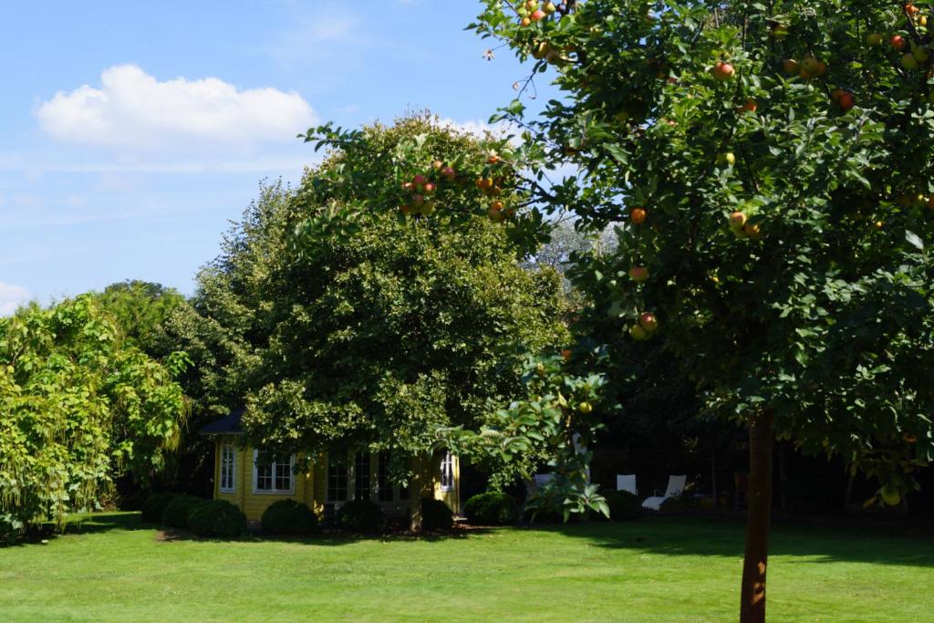 Hotel Villa Wittstock - 13