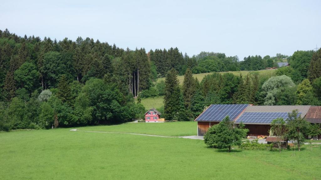 Příroda nedaleko apartmánu