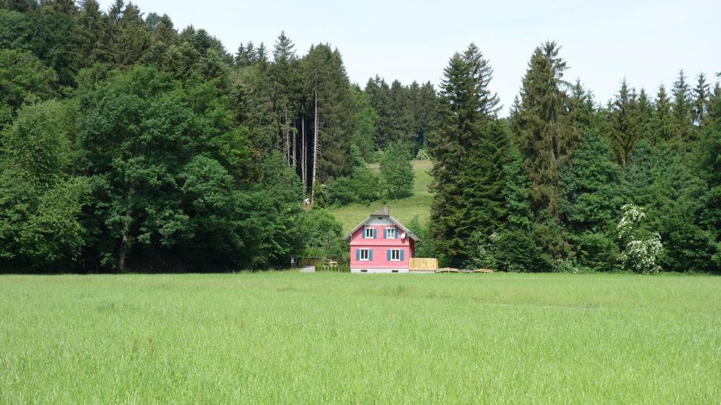 Příroda nedaleko apartmánu