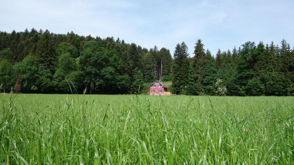 Příroda nedaleko apartmánu