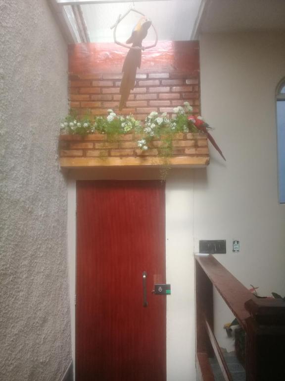  Rosas dos Ventos Suites