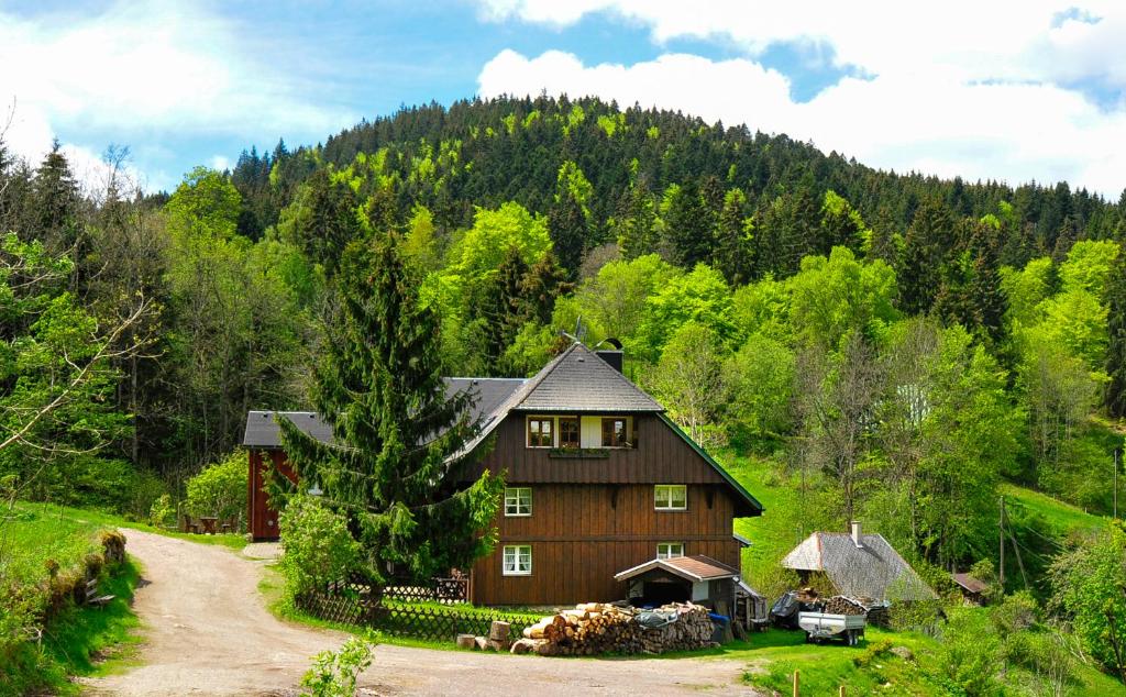 欣特察爾滕的住宿－Ferienhaus Hinterzarten，森林中间的木屋