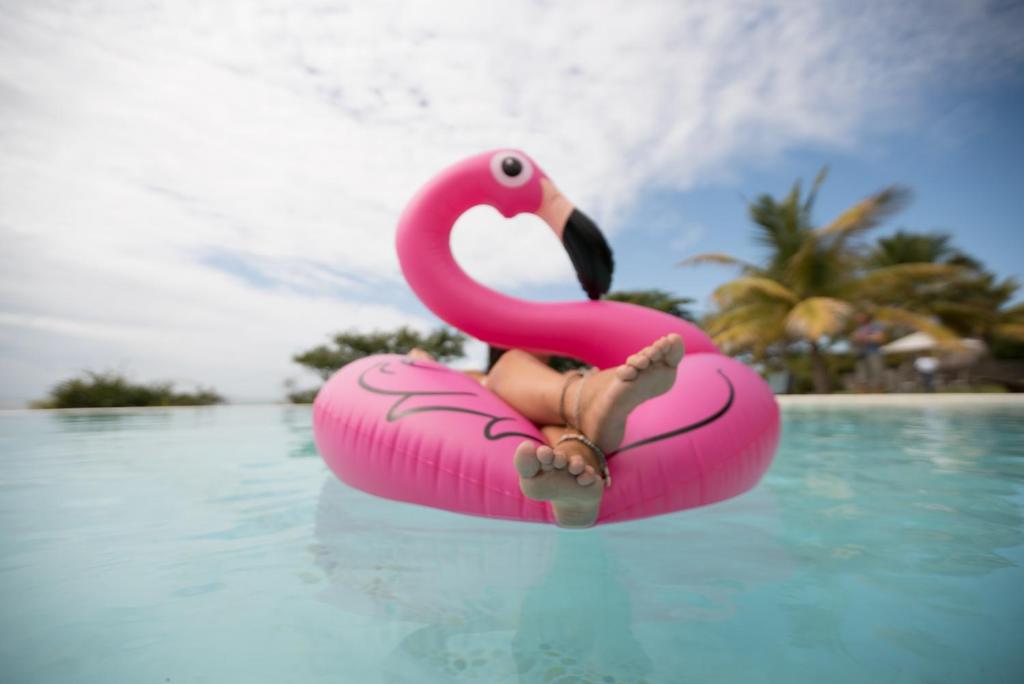 Swimmingpoolen hos eller tæt på Bahia Mar Boutique Hotel