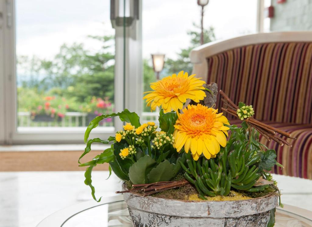 Alexain Hotel Restaurant & Wellness - Colmar Ouest - Suite
