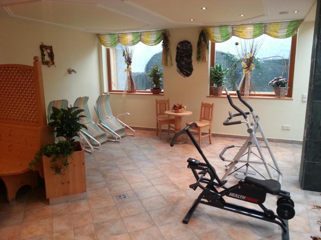 Fitness centrum a/nebo fitness zařízení v ubytování Pension Rieder
