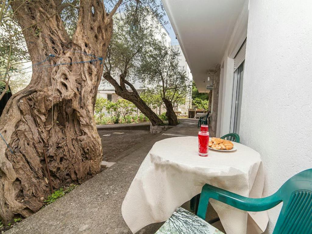 Zahrada ubytování Hana Accommodation