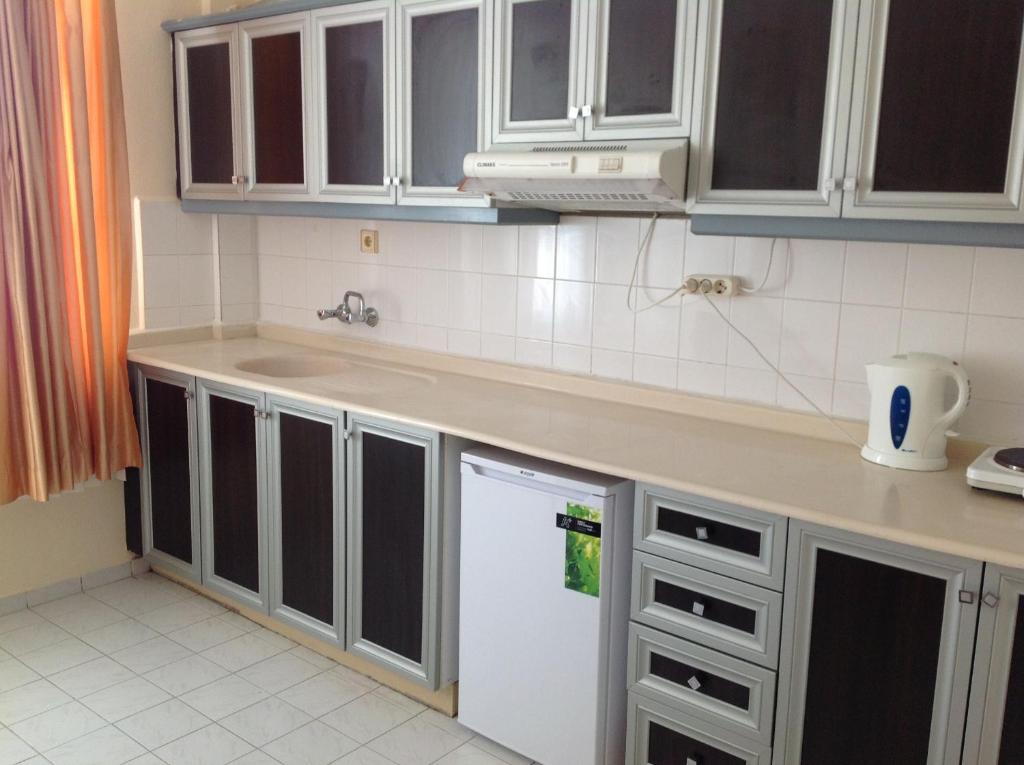 Kuchyň nebo kuchyňský kout v ubytování Baronessa Apart Hotel