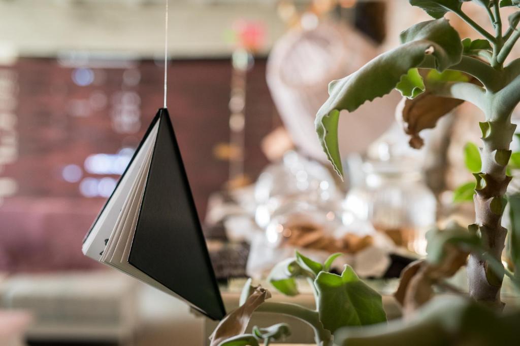 Villa Aruch - Resim 21