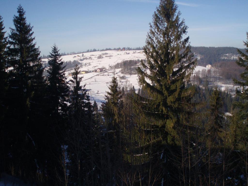Príroda v okolí privátu