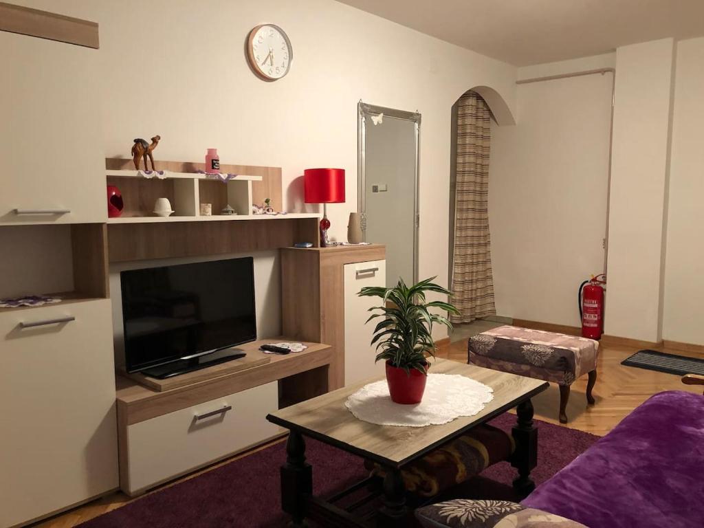 ein Wohnzimmer mit einem TV und einem Tisch in der Unterkunft Apartment Dada in Bjelovar