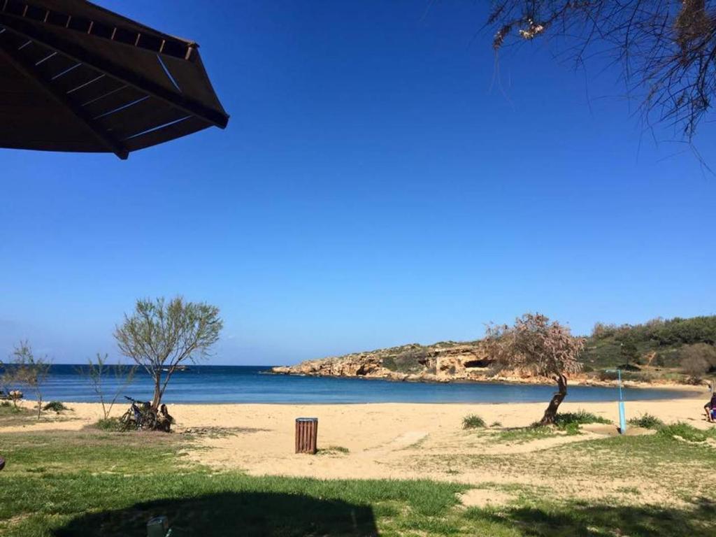 Táj Show holiday homes közelében