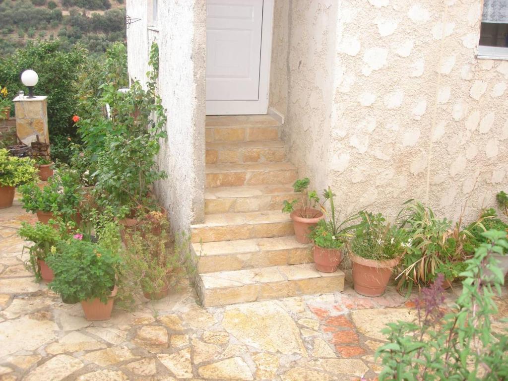 A garden outside House with Sea View close to Platanias
