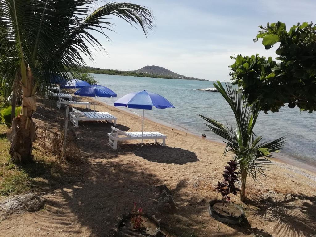 a beach with chairs and umbrellas and the water at White Stone Beach Resort in Mbita
