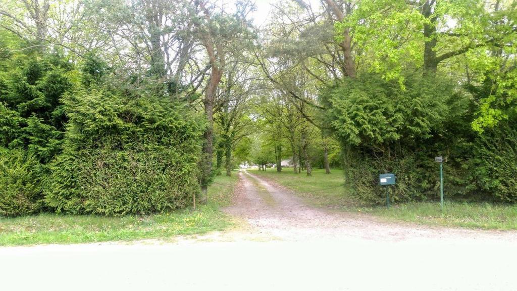 a dirt road between two bushes and trees at La Feuchelle in Villiers-Louis