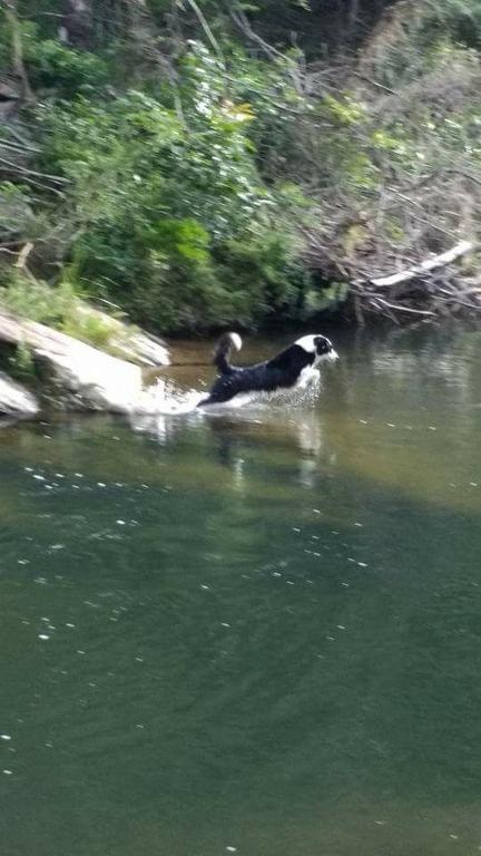  Pousada Pontal do Moleque