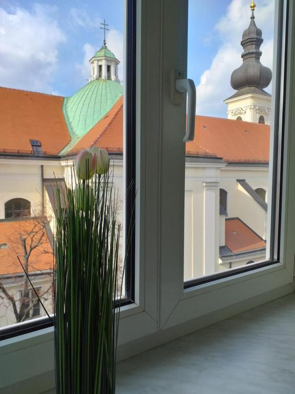 Una ventana con un jarrón con una flor. en Ferienwohnung Schloessel 26-26, en Viena