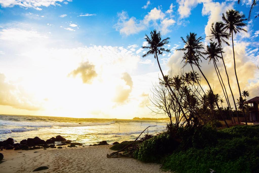 a group of palm trees on a beach with the ocean at Royal beach villa in Unawatuna