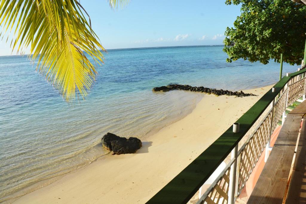 a dog laying on a beach near the water at Fare Maheata in Pihaena