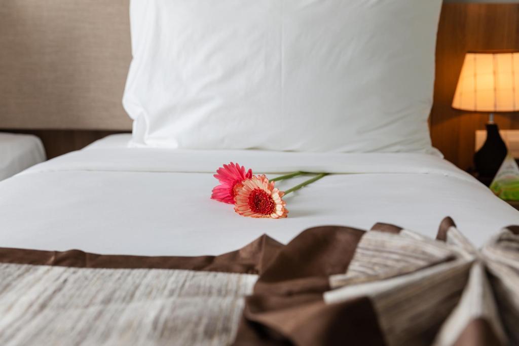 Phòng Tiêu chuẩn Giường Đôi không có Cửa sổ