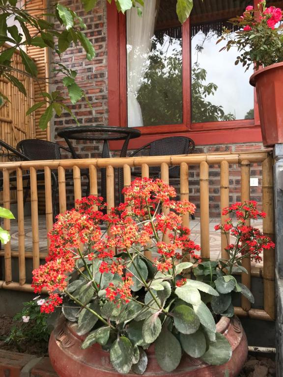 Tam Coc Tropical Garden - 12