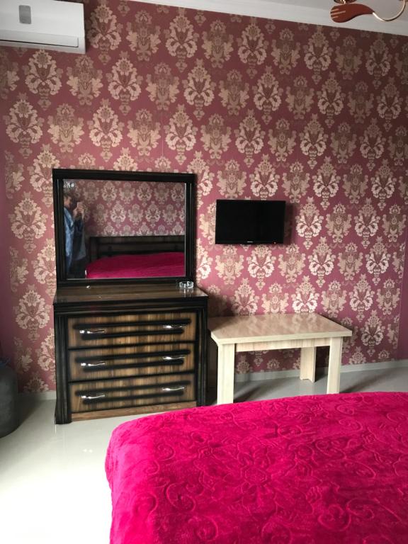 TV a/nebo společenská místnost v ubytování Guest house BAGRATIONI