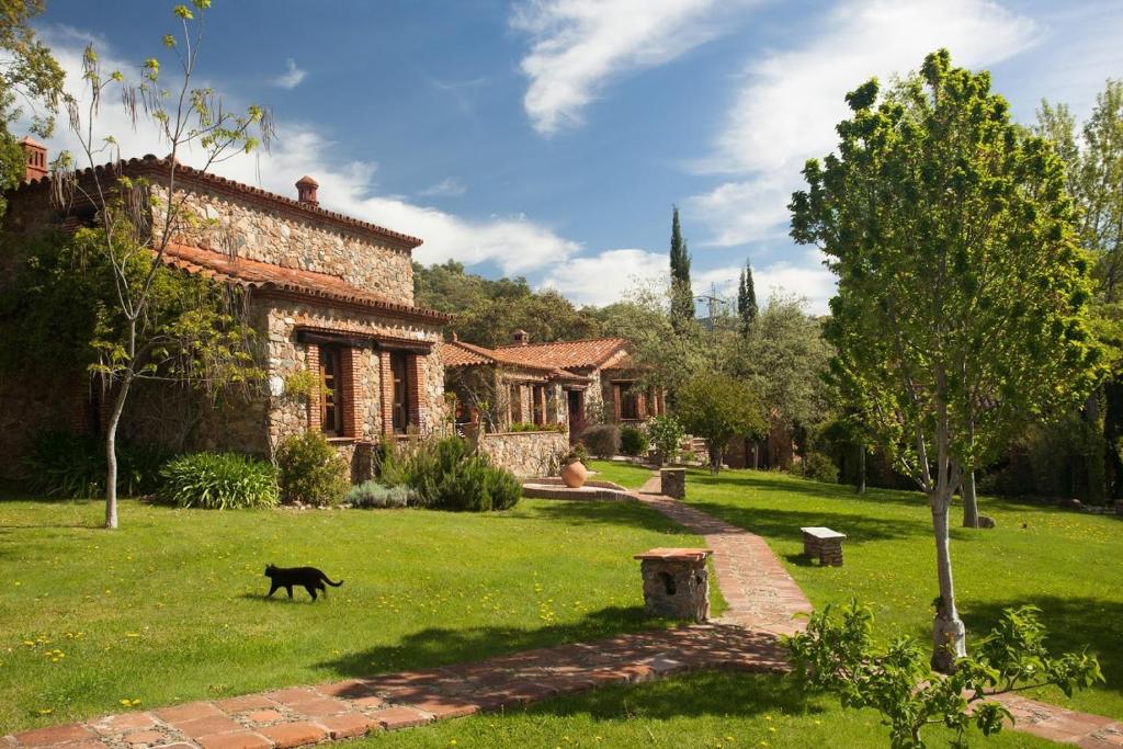 a cat walking in the grass in front of a house at Molino Rio Alajar in Alájar