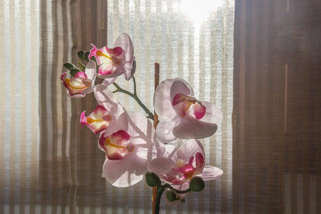 Hospederia Seminario Conciliar de San Julián - 7