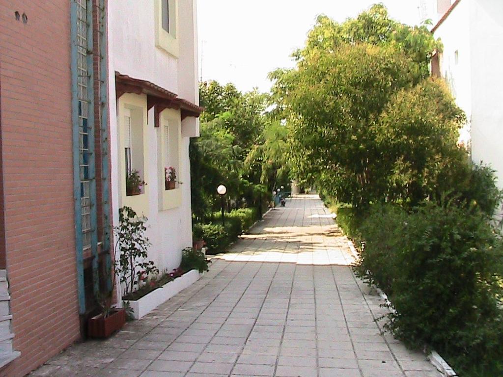 Okolie apartmánu