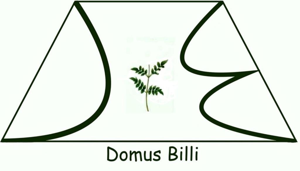 パレルモにあるDomus Billiの植物付ドル札の象徴