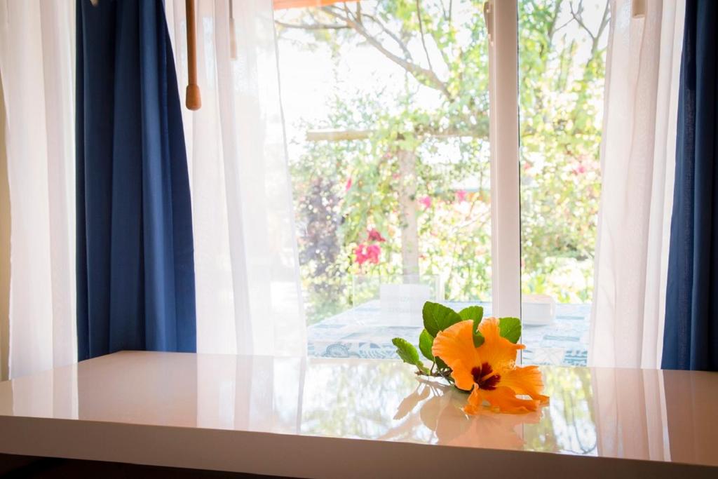 Zahrada ubytování Hotel Taura'a