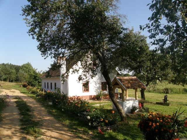 een klein wit huis met een boom in een veld bij Múltidéző Porta - Népi Műemlék Házak az Őrségben in Szalafő