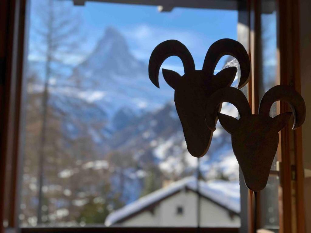 Apartment with beautiful views in Zermatt - Resim 23
