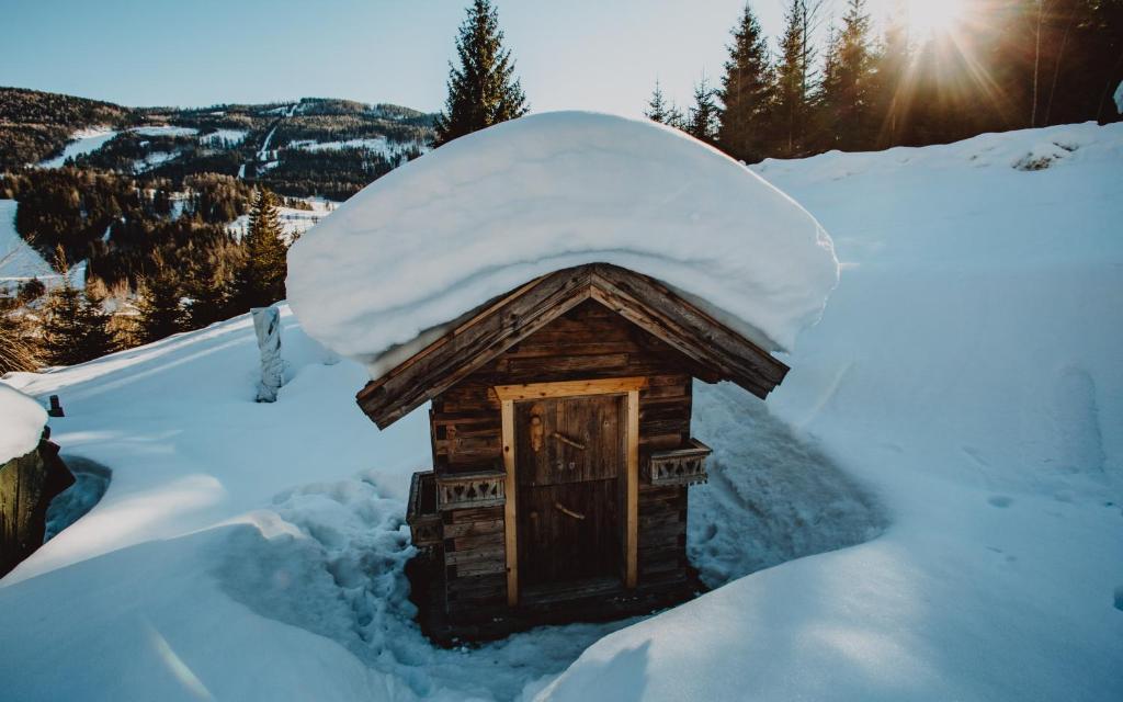 Stegerhütte during the winter