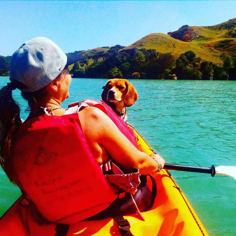 Raglan Backpackers - Resim 24