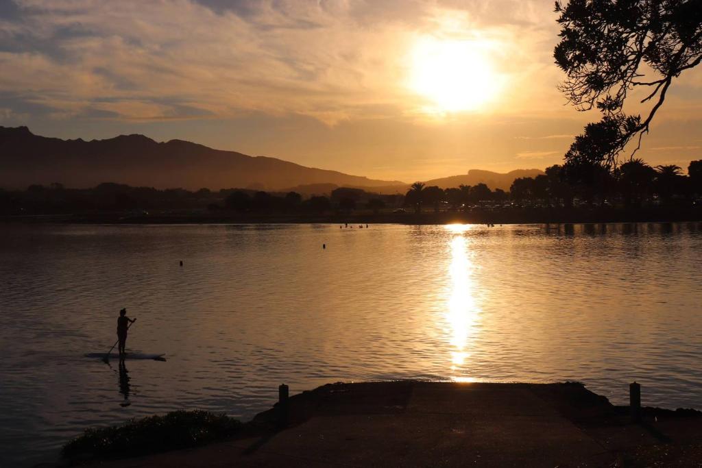 Raglan Backpackers - Resim 22