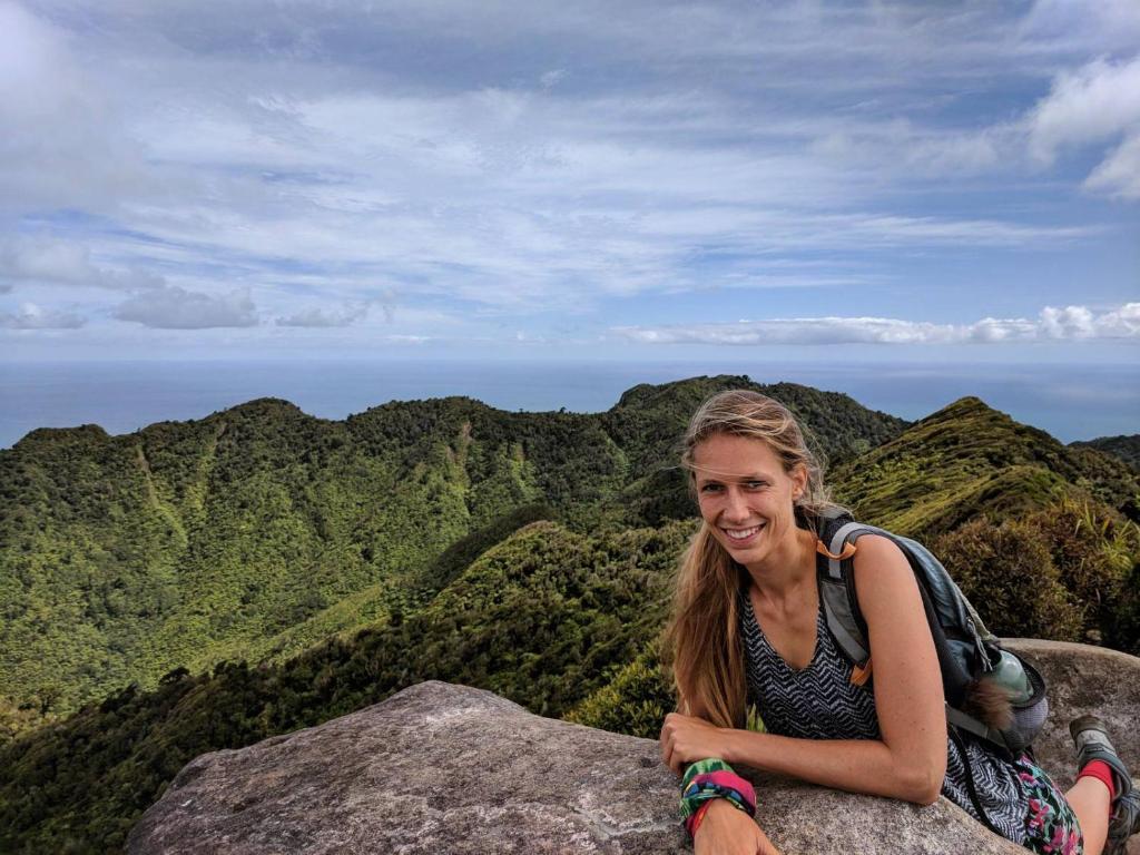 Raglan Backpackers - Resim 21