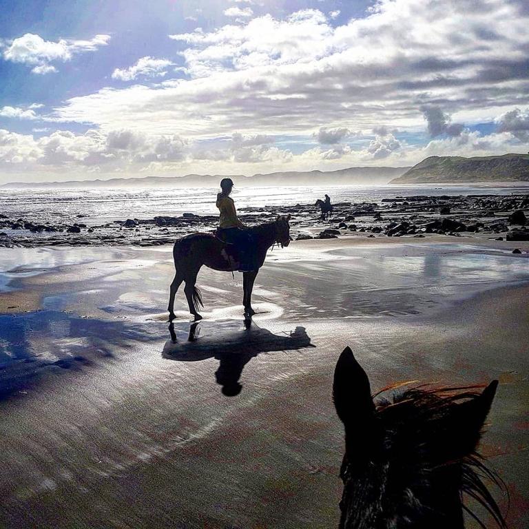 Raglan Backpackers - Resim 8