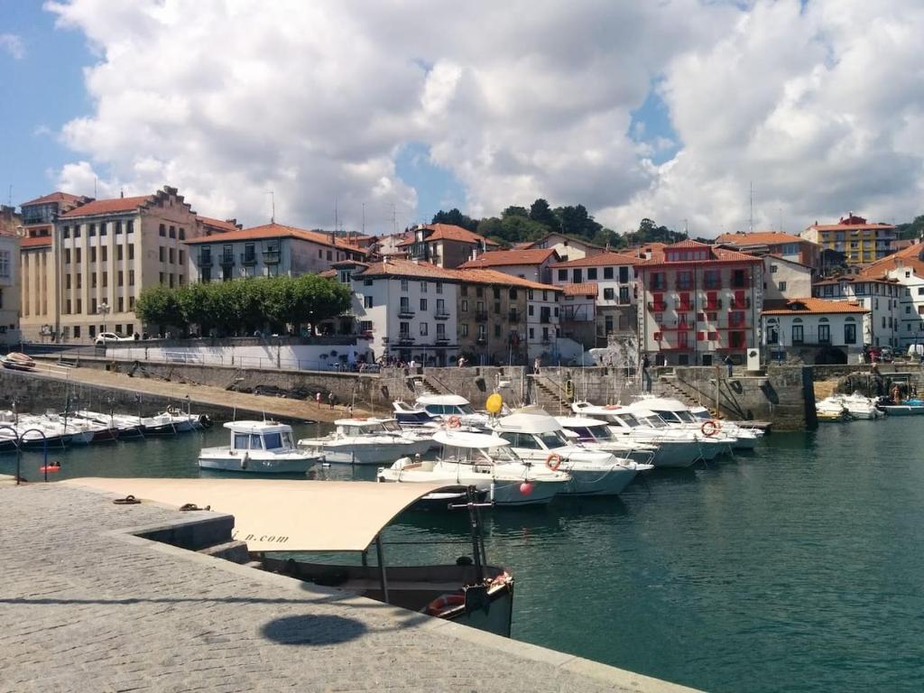 a group of boats docked in a harbor with buildings at Apartamento en el autentico corazón de Mundaka in Mundaka