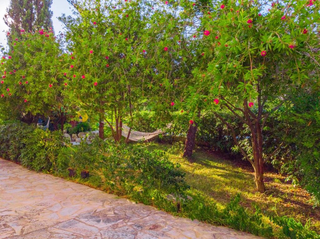 A garden outside Kounopetra Beach Luxury Villas