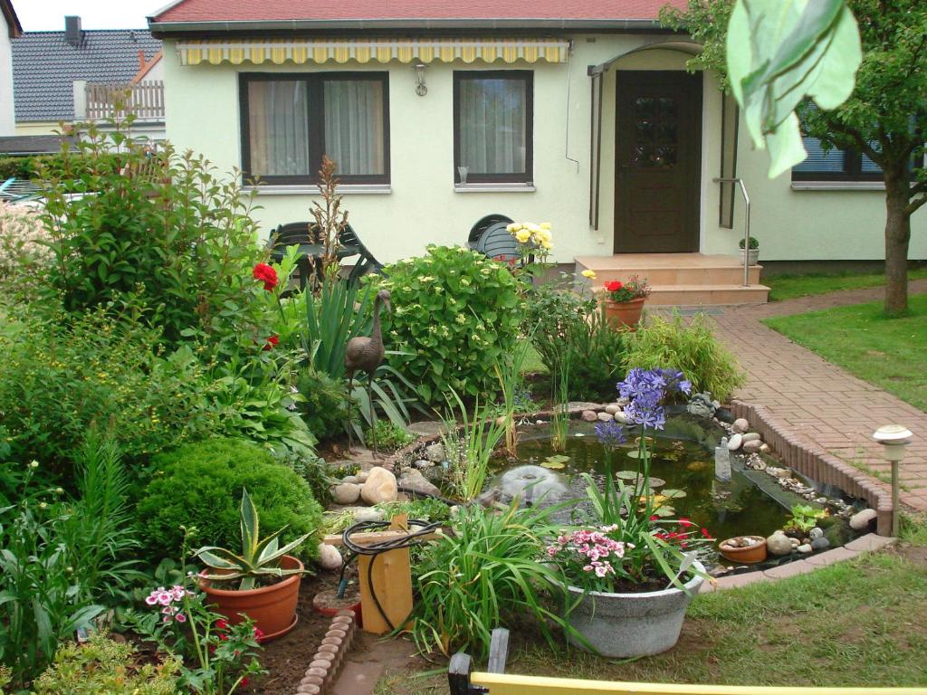 a garden with a pond in front of a house at Ferienwohnung Cubanzeneck in Kühlungsborn