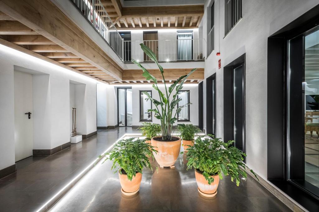 Fotografie z fotogalerie ubytování Intelier Casa de Indias v destinaci Seville