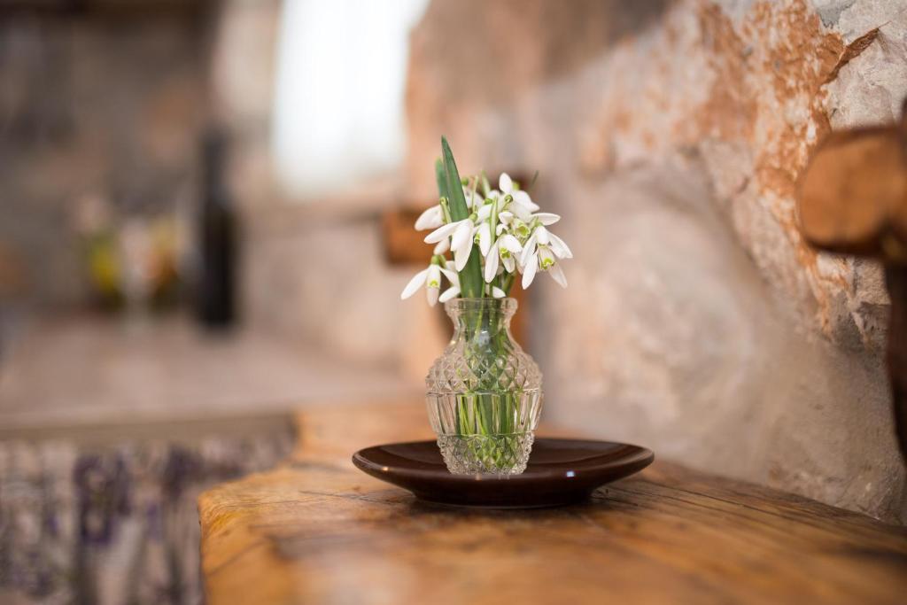 Zdjęcie z galerii obiektu The Terrace w mieście Mošćenice