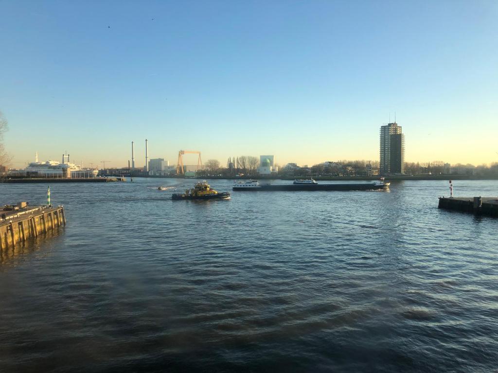 New Ocean Paradise Hotel - Resim 13