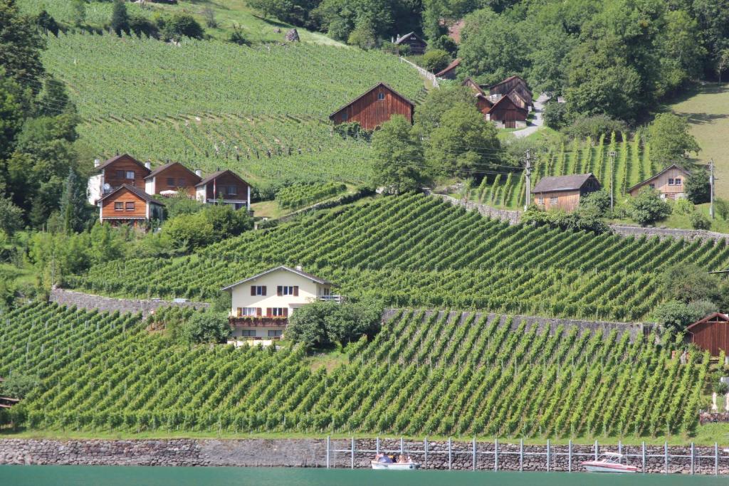 un village sur une colline avec des vignobles et des maisons dans l'établissement Haus Bünten, à Quinten