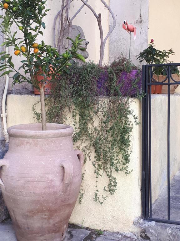 MAMARICO' APARTAMENT - 4