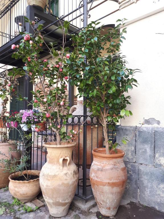 MAMARICO' APARTAMENT - 6