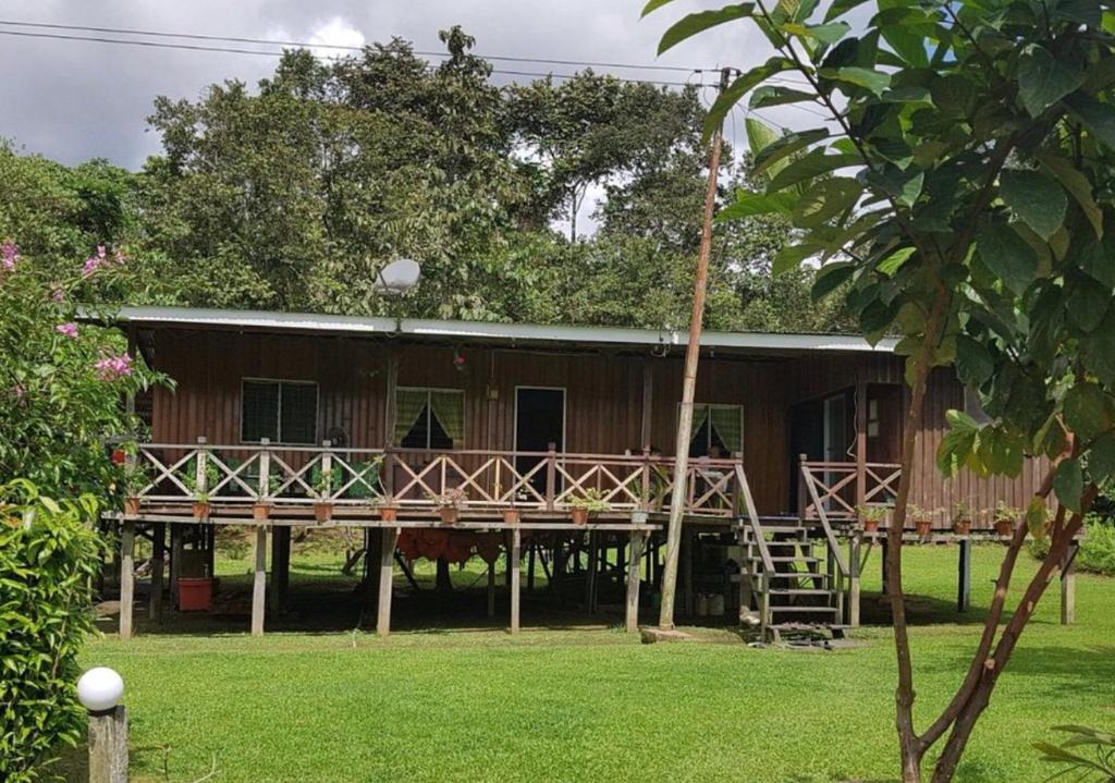 a wooden house with a large deck in a yard at Osman’s Homestay in Sukau