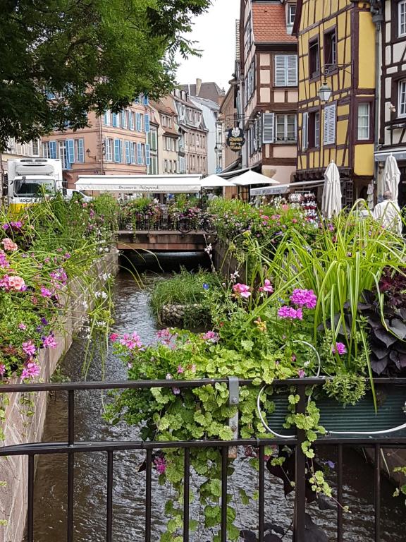 Les Colombages – photo 6